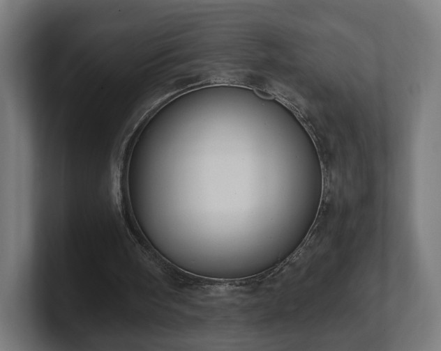 X0000101650098200807171301