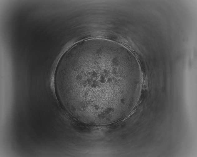 X0000101650099200807171301