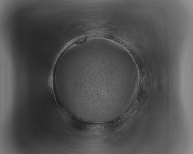 X0000101650100200807171301