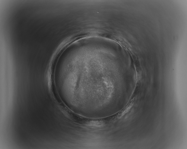 X0000101650101200807171301