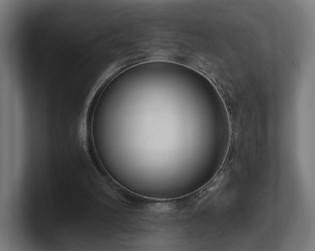 X0000101650102200807171301