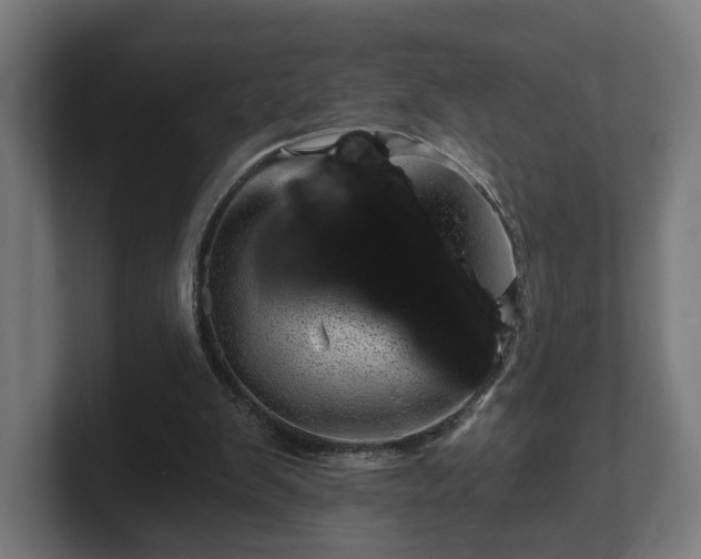 X0000101650103200807171301