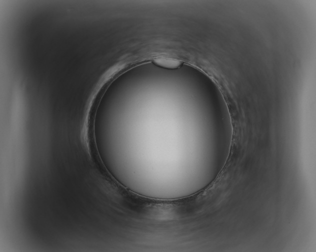 X0000101650104200807171301