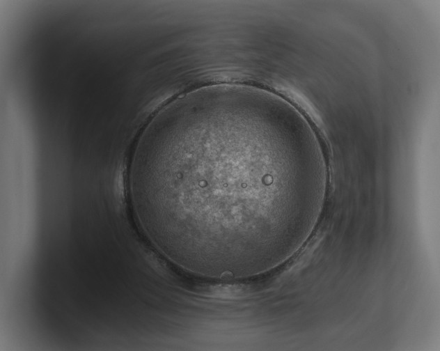 X0000101650105200807171301