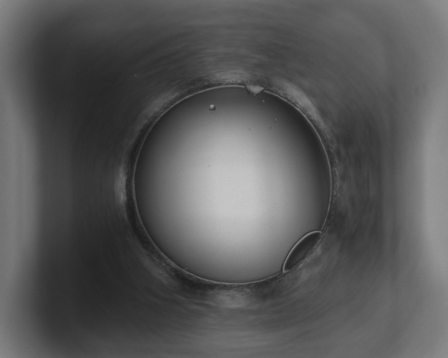 X0000101650106200807171301