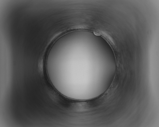 X0000101650108200807171301