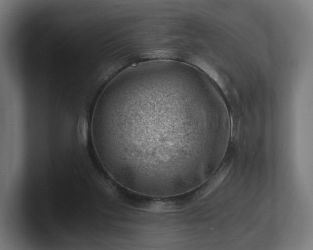 X0000101650109200807171301