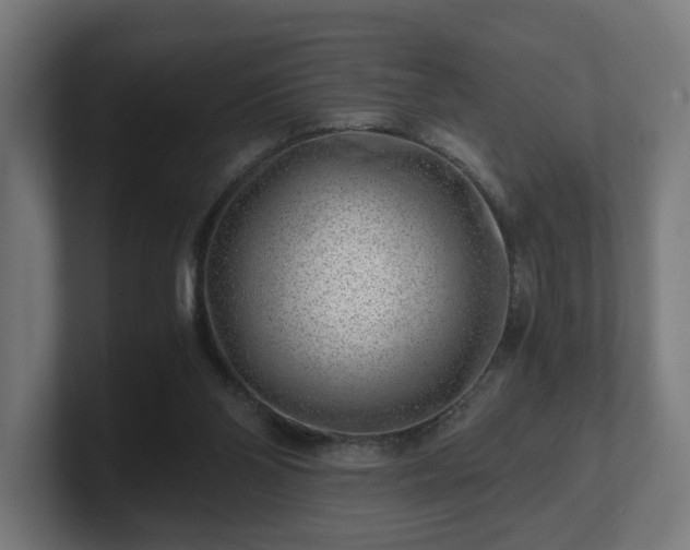 X0000101650110200807171301