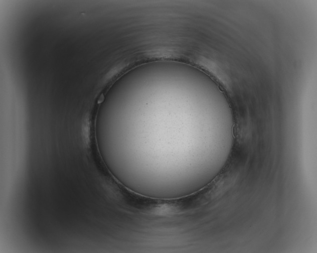 X0000101650111200807171301