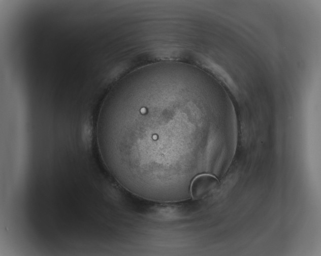 X0000101650113200807171301