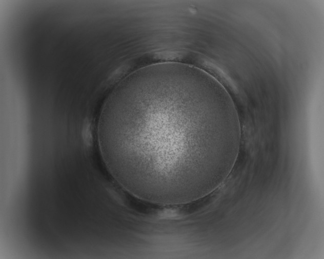 X0000101650114200807171301