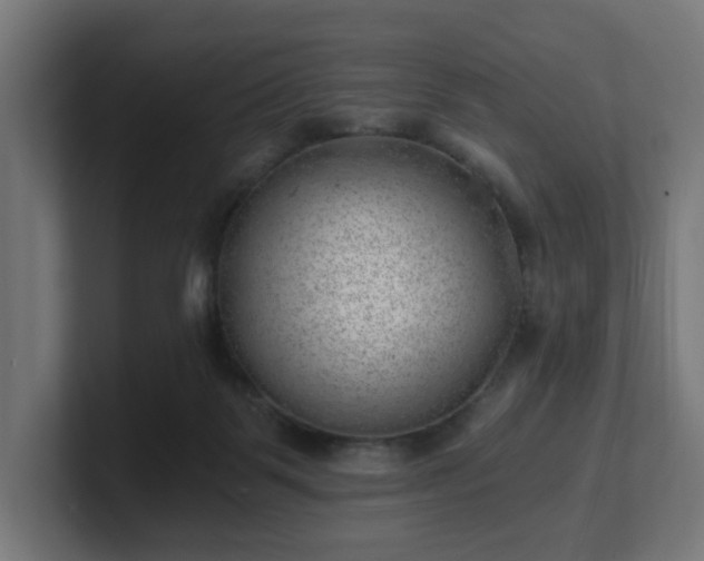 X0000101650123200807171301