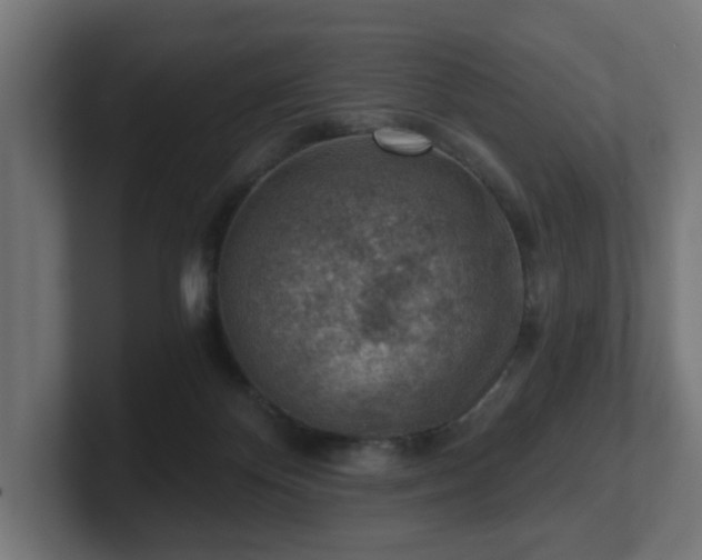 X0000101650124200807171301