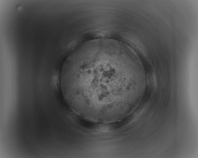 X0000101650127200807171301