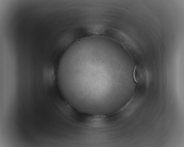 X0000101650128200807171301