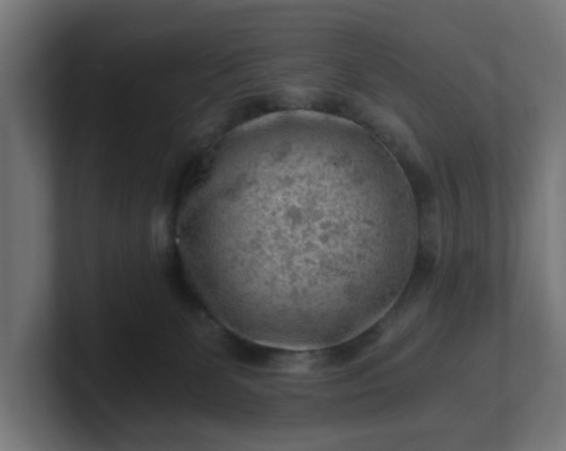 X0000101650131200807171301