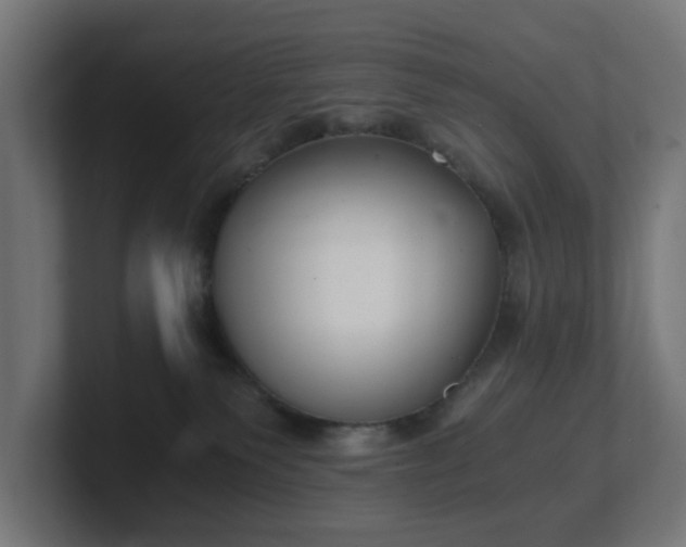 X0000101650135200807171301