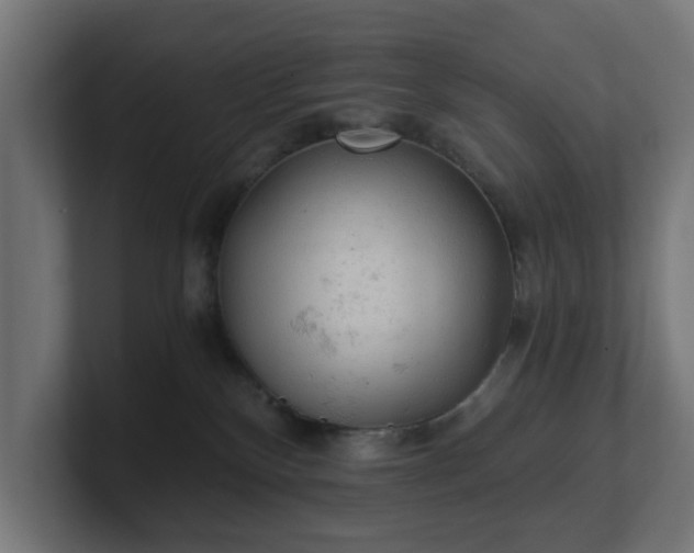 X0000101650136200807171301