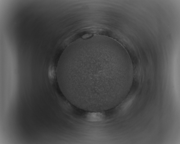 X0000101650137200807171301