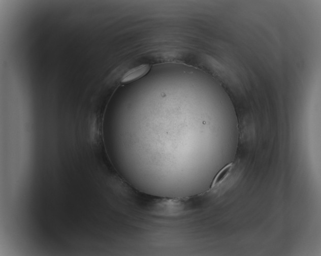 X0000101650140200807171301