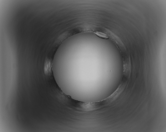 X0000101650142200807171301