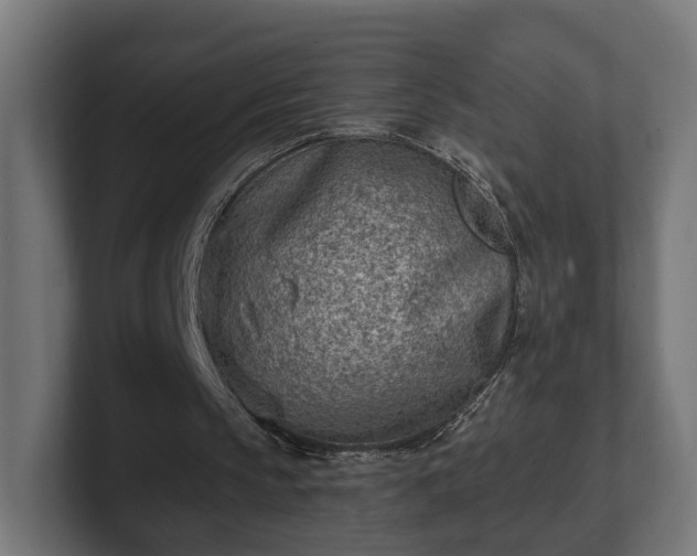 X0000101650145200807171300