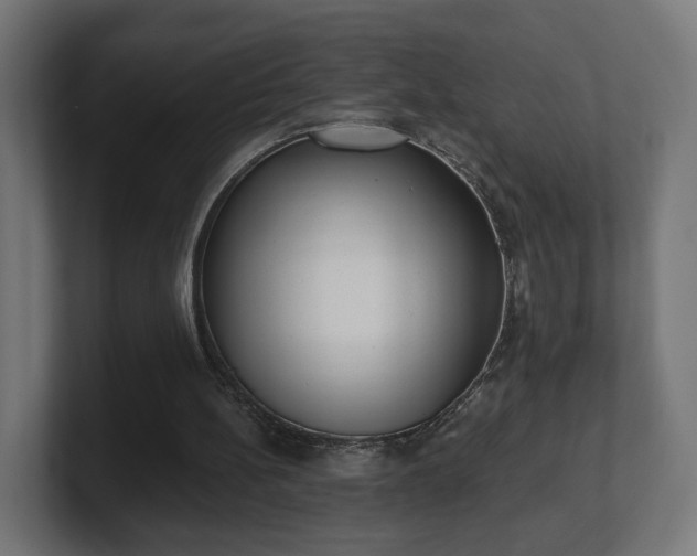 X0000101650148200807171300