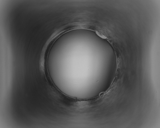 X0000101650150200807171300