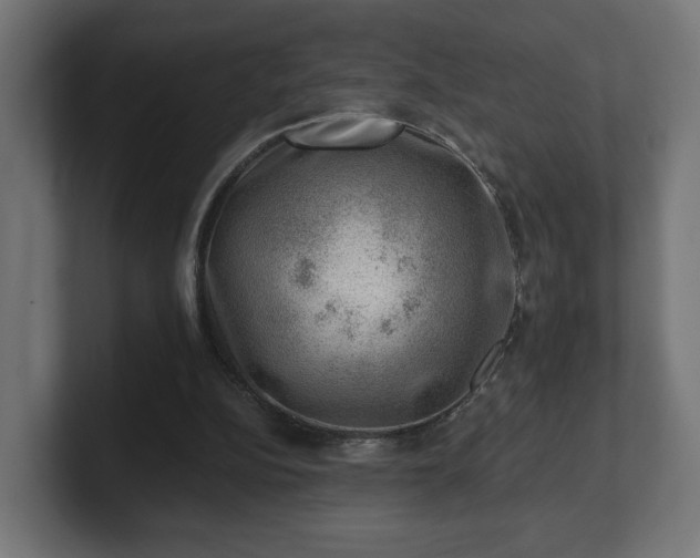 X0000101650152200807171300