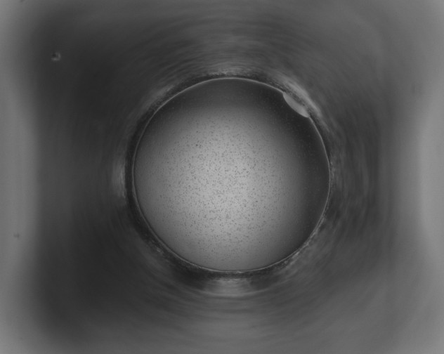 X0000101650154200807171300