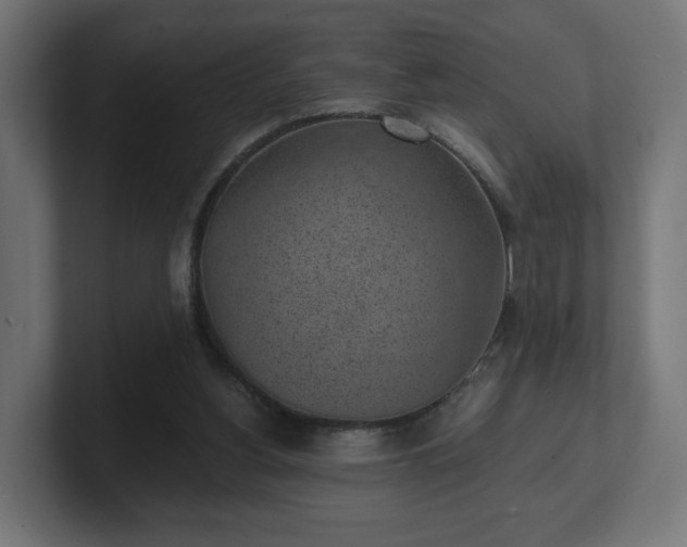 X0000101650156200807171300