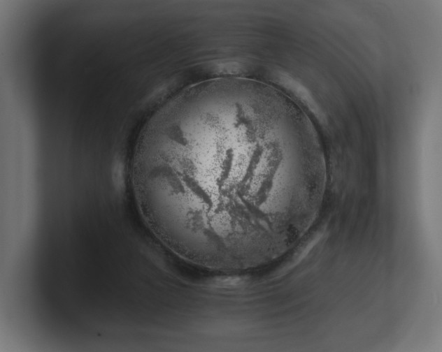 X0000101650161200807171300