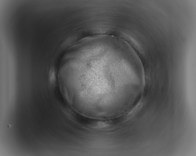 X0000101650166200807171300