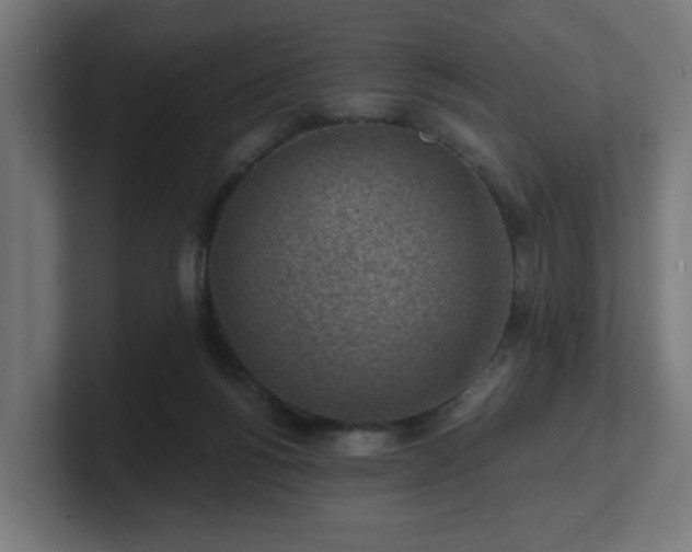 X0000101650168200807171300