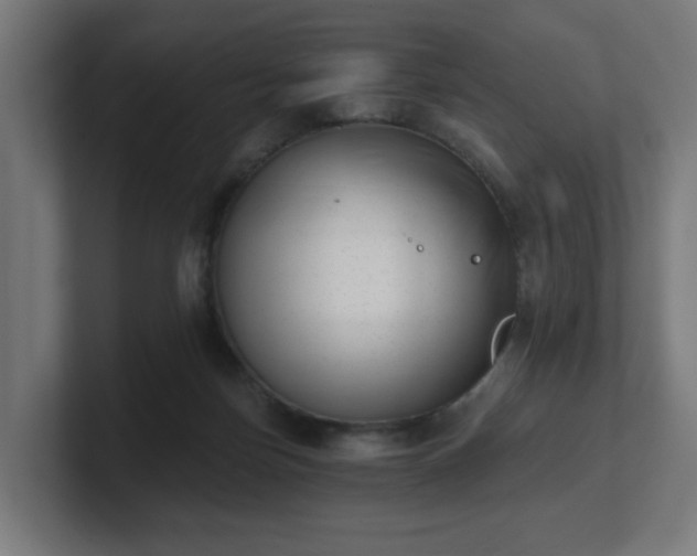 X0000101650171200807171300