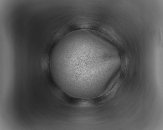 X0000101650175200807171300