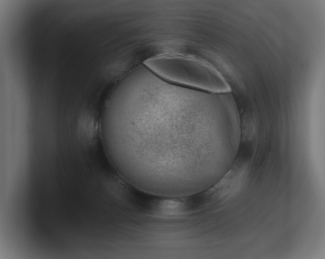 X0000101650176200807171300