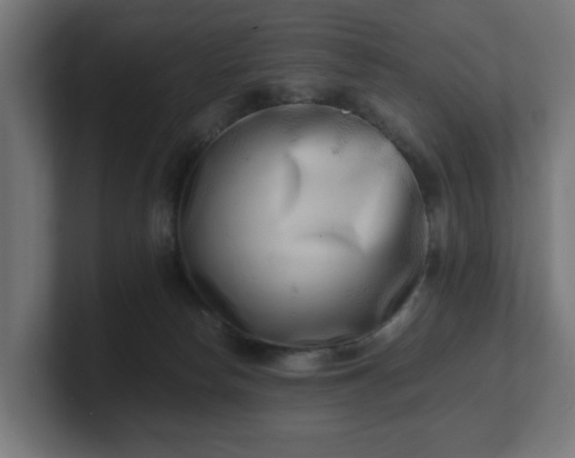 X0000101650178200807171300