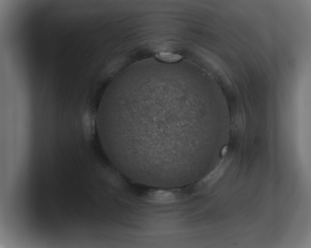 X0000101650180200807171300