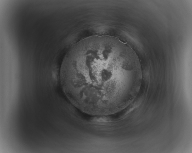 X0000101650181200807171300