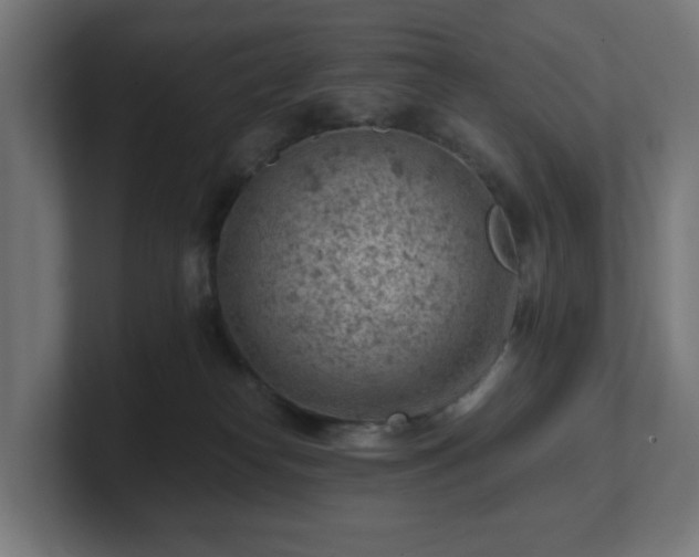 X0000101650182200807171300