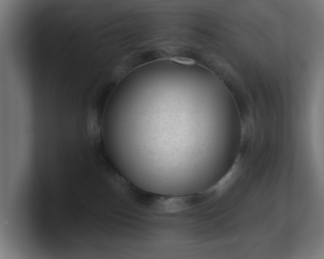 X0000101650186200807171301