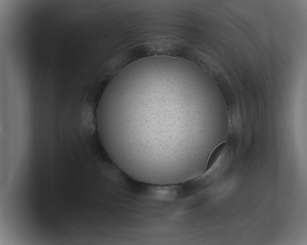 X0000101650187200807171301