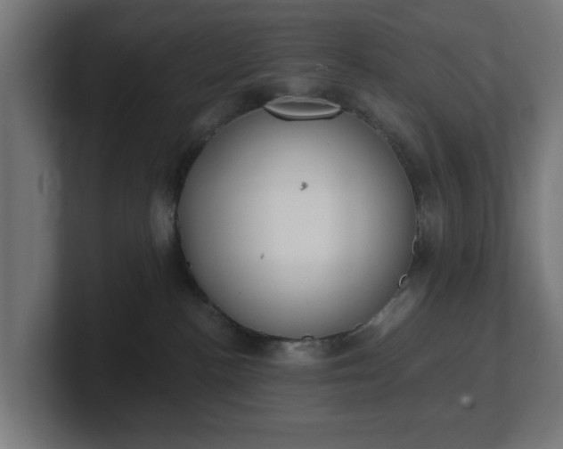 X0000101650188200807171301