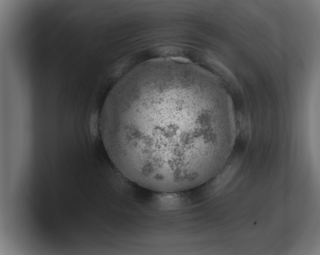 X0000101650189200807171301