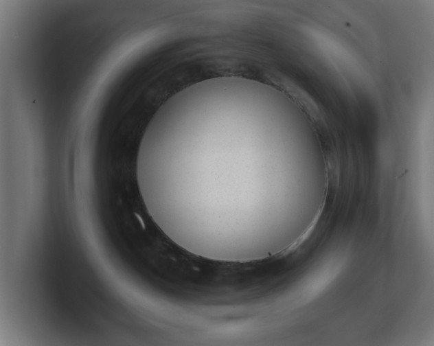 X0000101650190200807171301