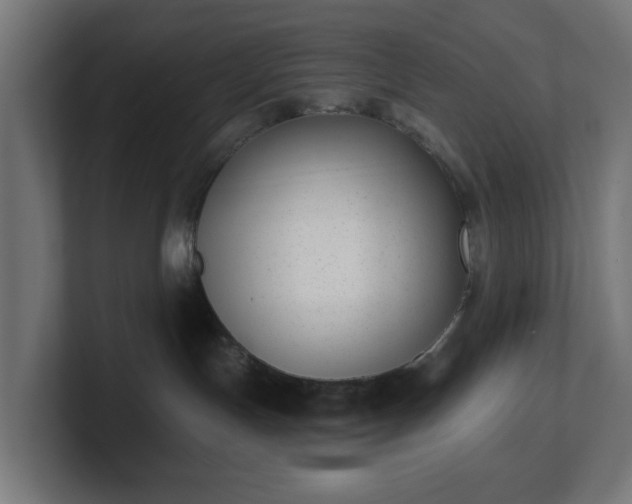 X0000101650191200807171301