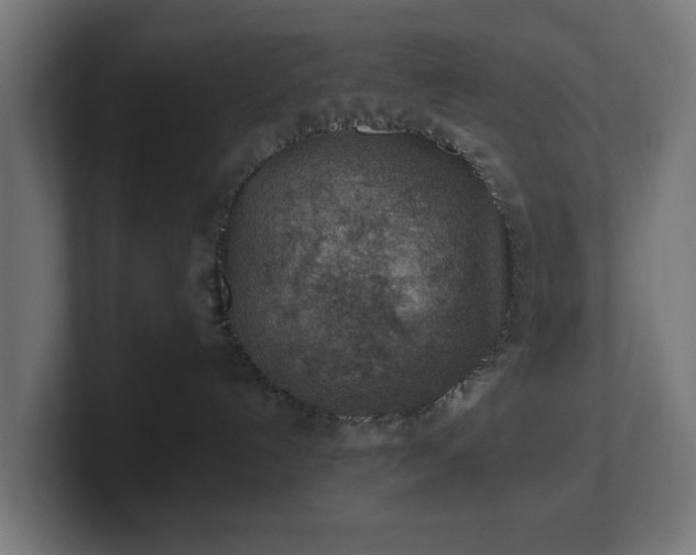 X0000101650192200807171301