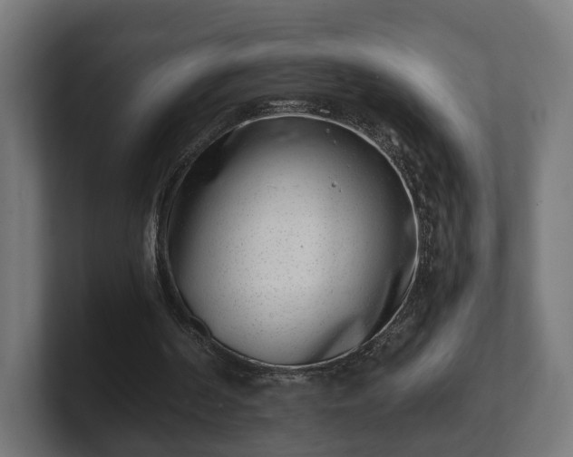 X0000101650194200807171300