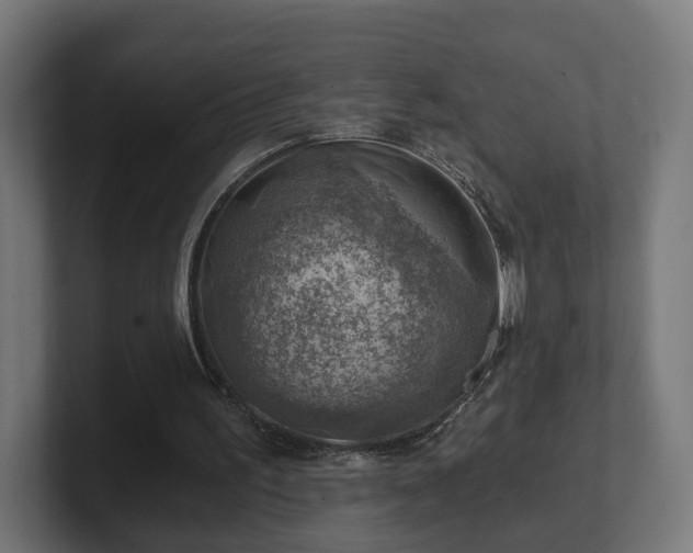 X0000101650195200807171300